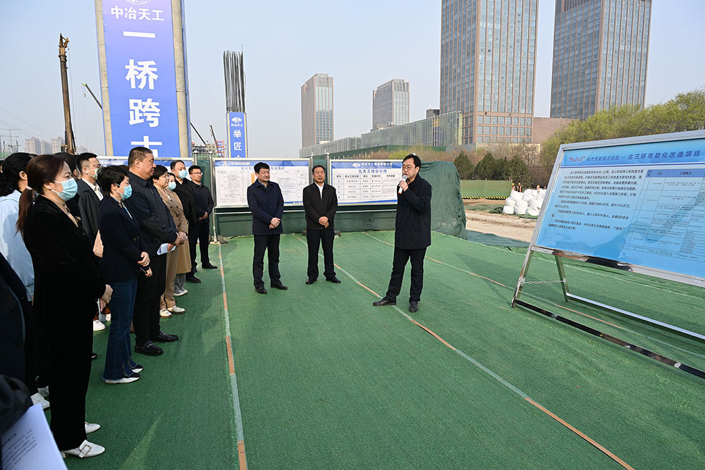 喜看藍圖變盛景 省市區政協委員集體視察看發展看變化看成果